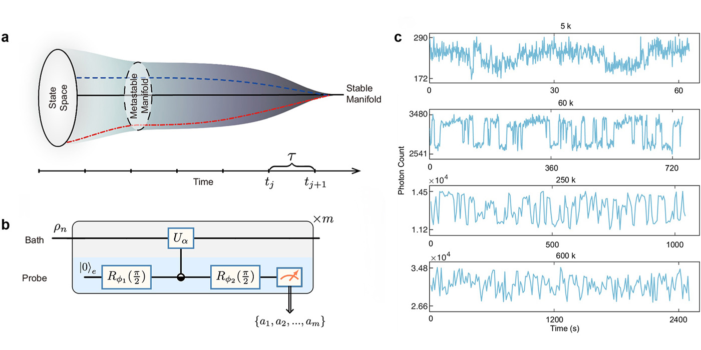 开放量子系统亚稳现象的实验观测