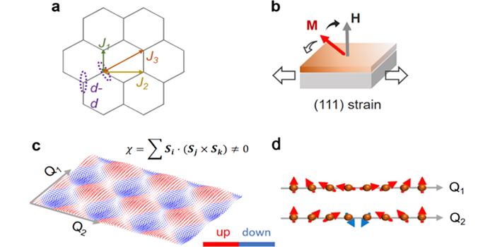 突破界面局限：(111) SrRuO₃薄膜中涌现手性自旋晶体相